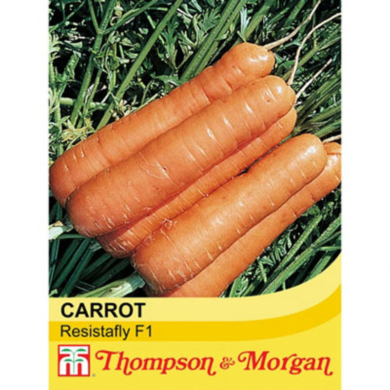 Image of Thompson & Morgan Carrot Resistafly F1 Hybrid 1 Seed Packet (350 Seeds)
