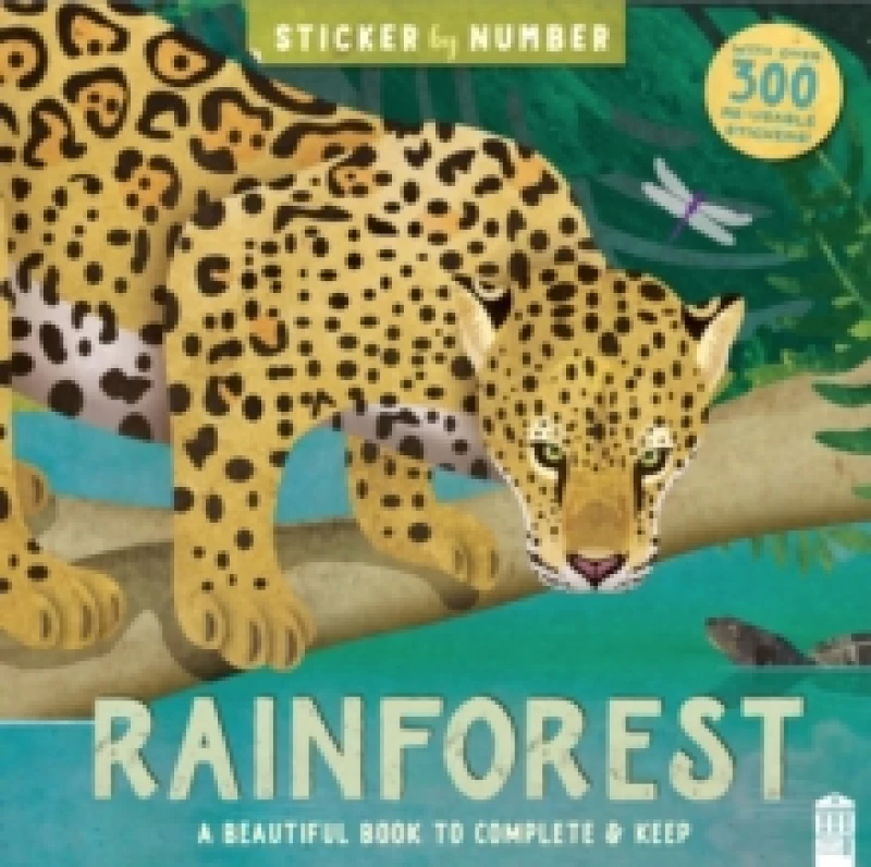 Image of Rainforest Paperback
