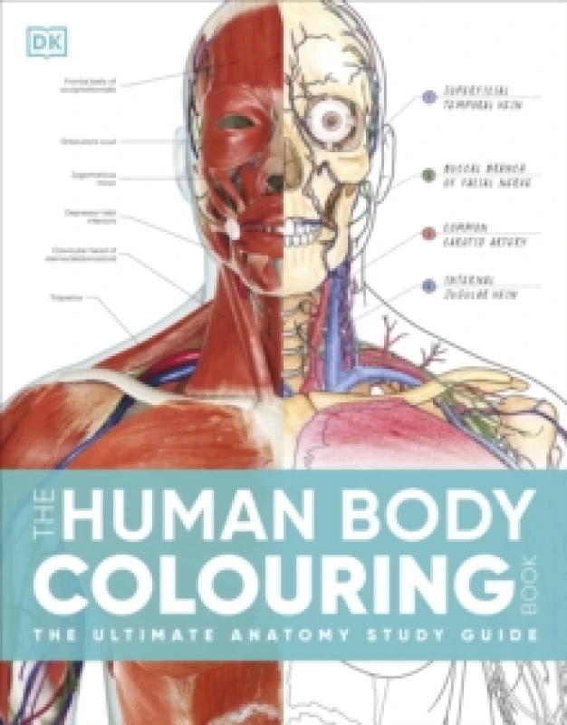 Image of The Human Body Colouring Book. Paperback. By DK Books