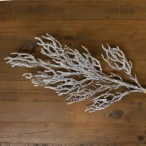 Image of Snow Covered Branch