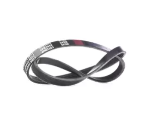 Image of RIDEX V-ribbed belt RENAULT,HYUNDAI,NISSAN 305P0201 F87A19D621AB,56992P0A003,56992P0A004 56992P0AJ01,56992P0AJ02,56992PAA505,56992PAA506,56992PAAA01