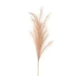 Image of Large Faux Pampas Grass Stem
