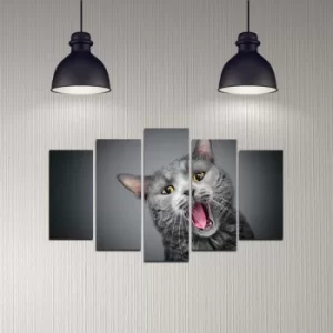 Image of 5DMDF-49 Multicolor Decorative MDF Painting (5 Pieces)