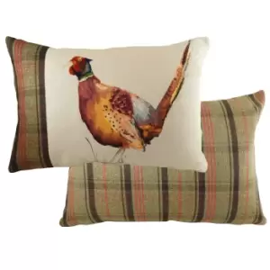 Image of Hunter Pheasant Rectangular Cushion Multicolour, Multicolour / 40 x 60cm / Polyester Filled