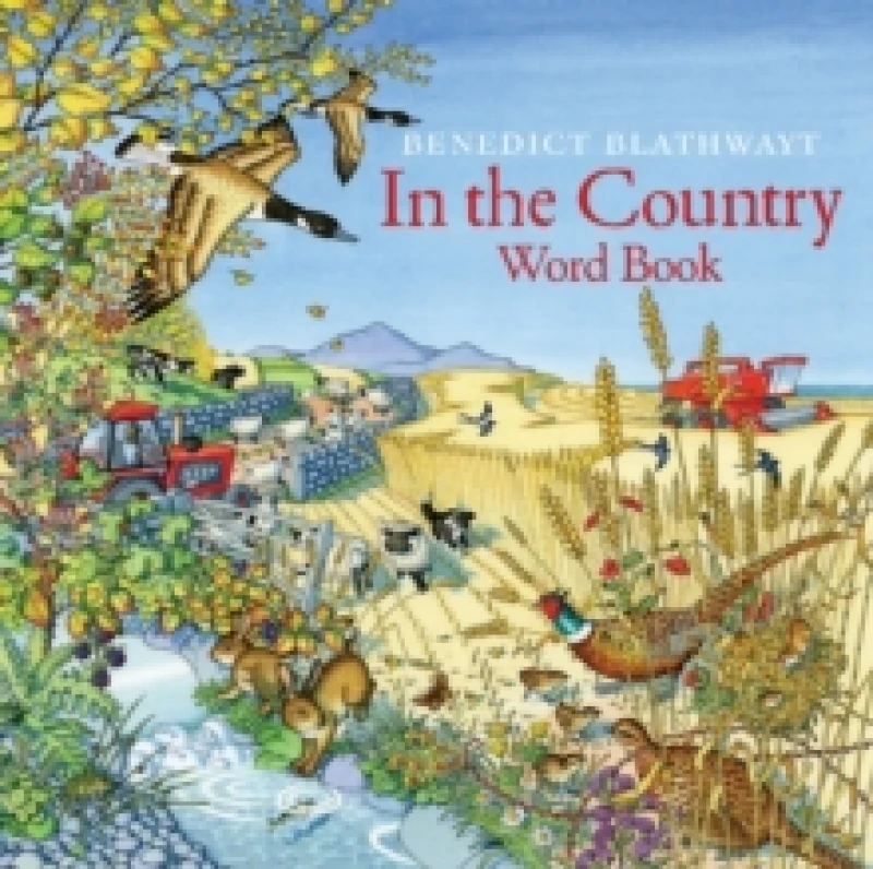 Image of In the Country : Word Book Paperback / softback