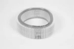 Image of Champion W716 CAF100716R Air Filter Insert