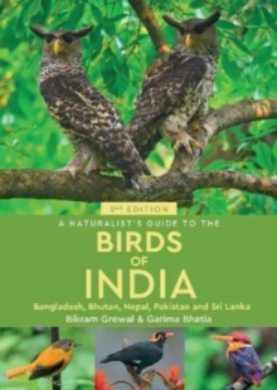 Image of A Naturalist's Guide to the Birds of India Paperback / softback