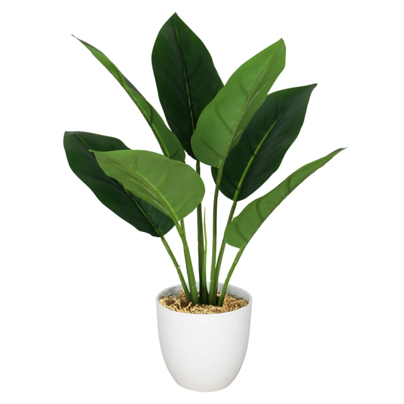 Image of N/A 45cm Artificial Aureum Plant