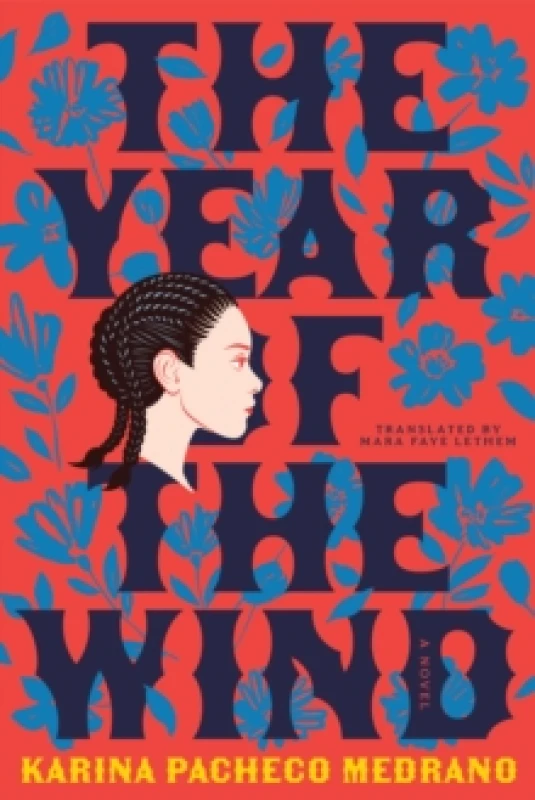 Image of The Year of the Wind Paperback / softback