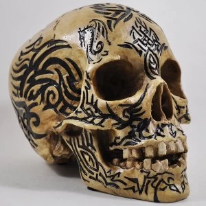 Image of Celtic Tribal Skull 15cm