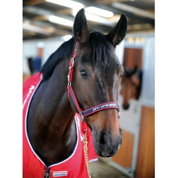 Image of Headcollar Padded Fleece Red/Navy - Cob - HC198C005 - Whitaker