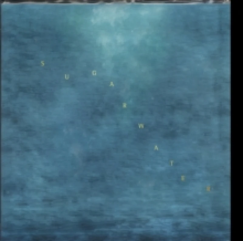 Image of Sugarwater Vinyl