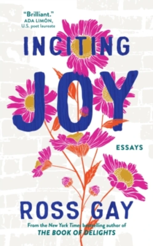 Image of Inciting Joy : Essays Paperback / softback