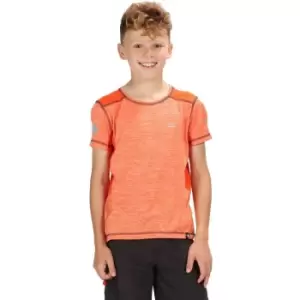 Image of Regatta Boys & Girls Takson Quick Dry Short Sleeve T Shirt 14/15 Years - Chest 86-89cm (Height 164-170cm)