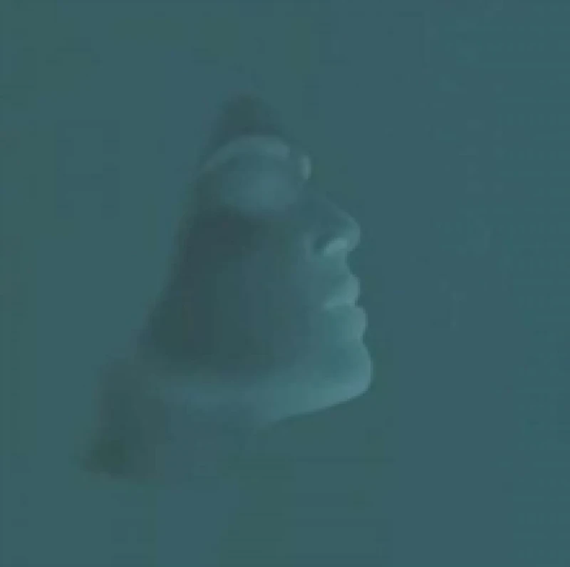 Image of Everything, All This, and More CD / Album