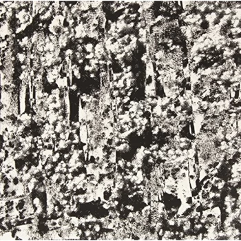 Image of Perspex Flesh - Ordered Image Vinyl