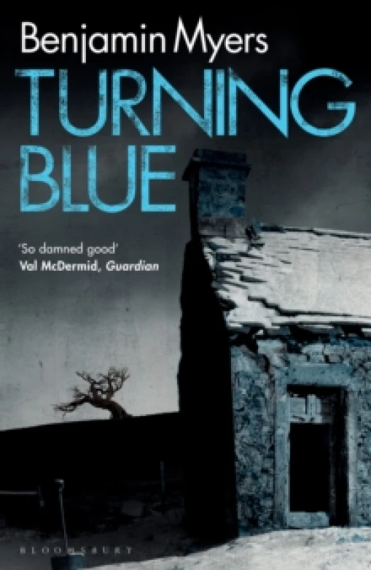 Image of Turning Blue Paperback / softback