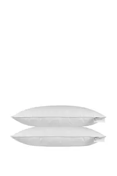 Image of Goose Feather & Down Euro Continental Pillow Pair - 40cm x 80cm