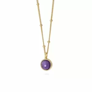Image of Daisy London Jewellery 18ct Gold Plated Sterling Silver Amethyst Healing Stone Necklace 18Ct Gold Plate