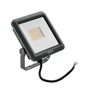 Image of Philips Ledinaire 27W Integrated LED Floodlight - Cool White - 912401483117