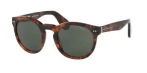Image of Ralph Lauren Sunglasses RL8146P 501752