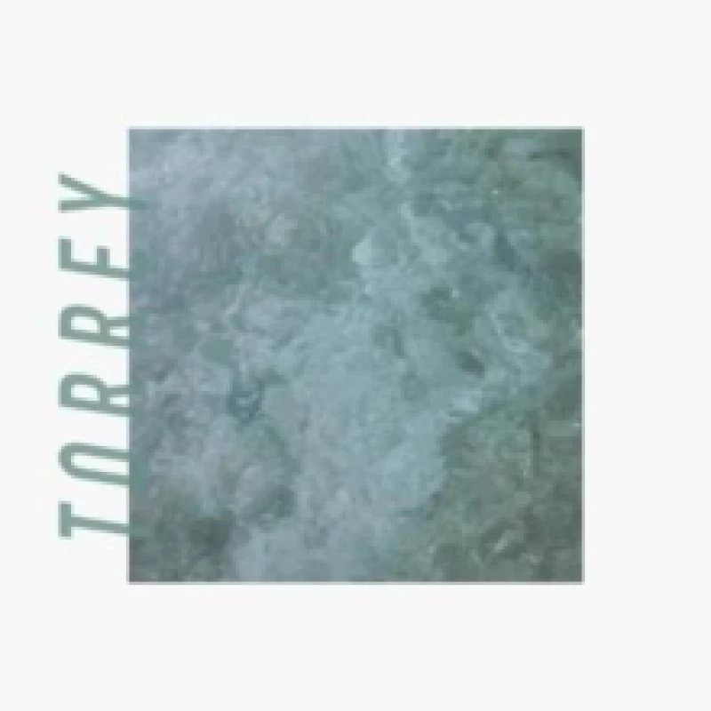 Image of Torrey Vinyl