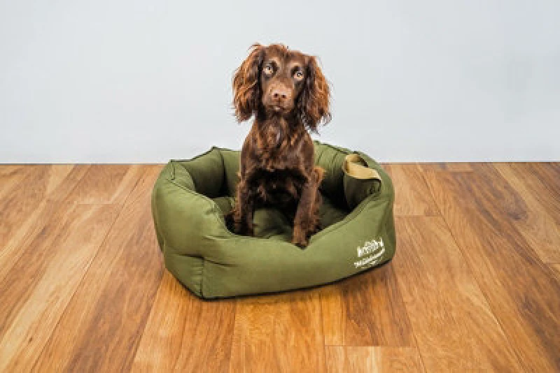 Image of Snug & Cosy Pets Snug And Cosy Wilderness Snuggle Bed Olive 90Cm X 70Cm X 25Cm