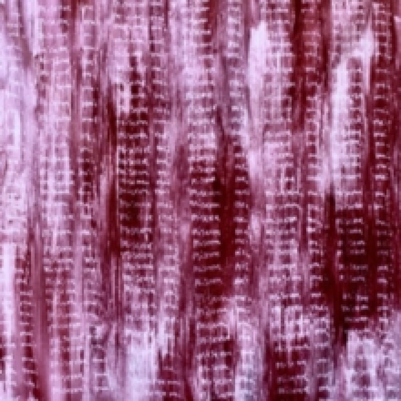 Image of Miserere mei Vinyl