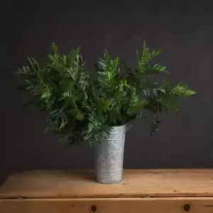 Image of Pistach Bunch