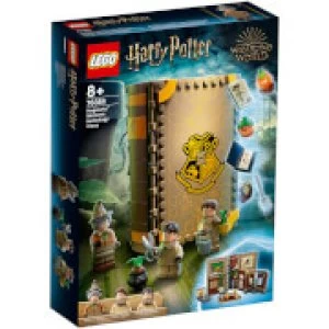 Image of LEGO Harry Potter Hogwarts Moment: Herbology Class (76384)