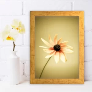 Image of AC346430352 Multicolor Decorative Framed MDF Painting