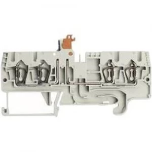 Image of Wieland 56.703.5555.0 WKFN 25 TKM 2235 Grau 0.14 4 mm2 Grey