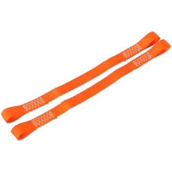 Image of Sealey 2 Piece Tie Down Securing Loop Set