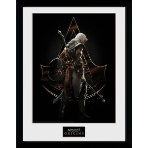 Image of Assassins Creed Origins Assassin Framed Collector Print