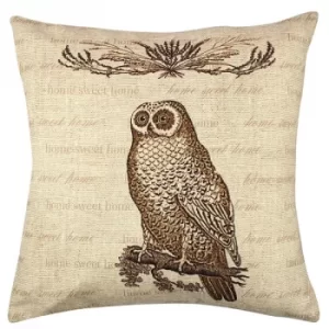 Image of A11918 Multicolor Cushion Owl 3