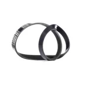 Image of RIDEX V-ribbed belt OPEL,NISSAN,HONDA 305P0354 60575209,60808219,60809019 31110P73A01,31110PR50030,60575209,MD180574,MD192808,1195041B00,1195041B01
