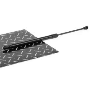 Image of RIDEX Tailgate strut PEUGEOT 219G1050 9807899380