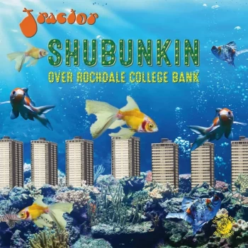 Image of Tractor - Shubunkin Over Rochdale College Bank Vinyl