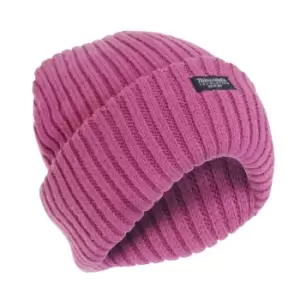 Image of FLOSO Ladies/Womens Chunky Knit Thermal Thinsulate Winter/Ski Hat (3M 40g) (One Size) (Dusky Pink)