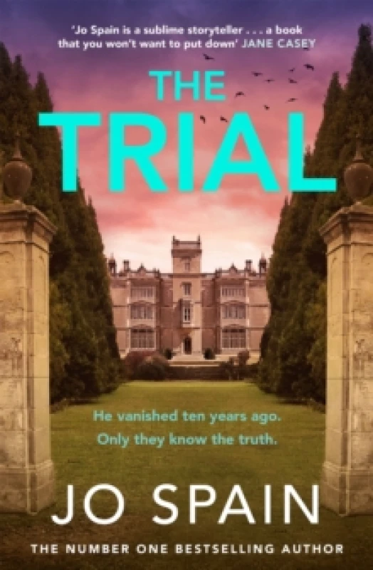 Image of The Trial : the twisty, addictive thriller from the author of DON'T LOOK BACK Hardback