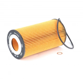 Image of Bosch Oil Filter VW,AUDI F 026 407 007 79115561B,079115561B,079198405 079198405A,07C115562A