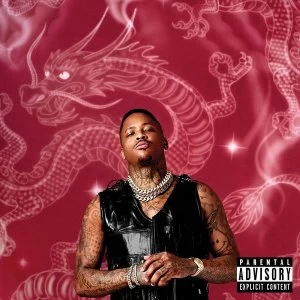 Image of YG - Stay Dangerous Vinyl
