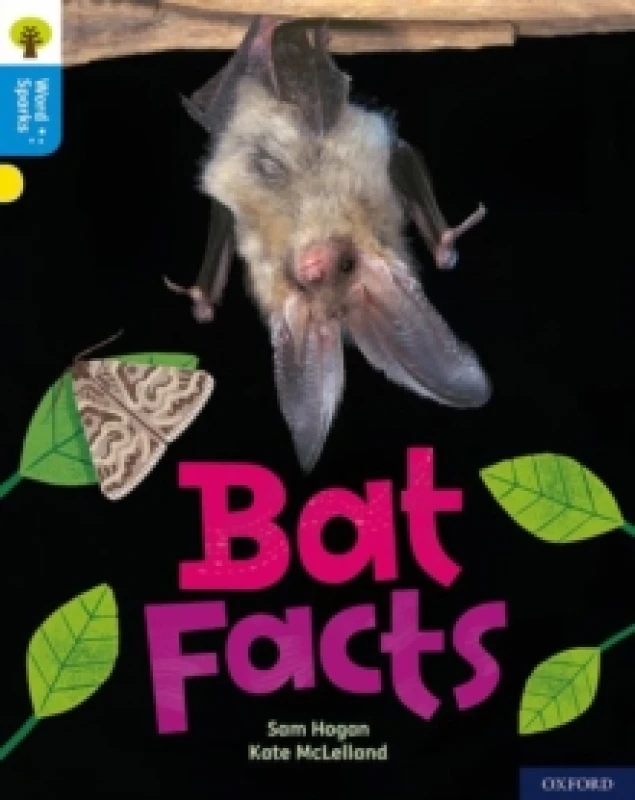 Image of Sam Hogan Oxford Reading Tree Word Sparks: Level 3: Bat Facts Book Multi unisex