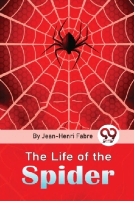 Image of The Life of the Spider Paperback / softback