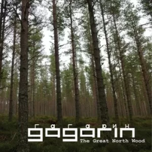 Image of The Great North Wood by Gagarin CD Album