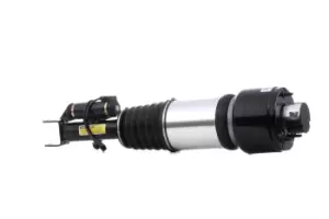 Image of Arnott Air Spring Strut MERCEDES-BENZ AS-2786 2113205513,211320551380,211320551389 2113206113,211320611380,2113209313,2193200313,2193201113