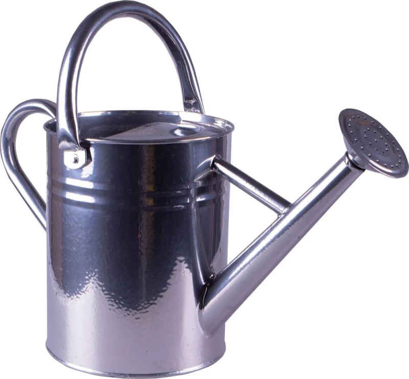 Image of St Helens Metal Watering Can with Sprinkler Nozzle & 4 Litre Capacity in Silver Silver Unisex