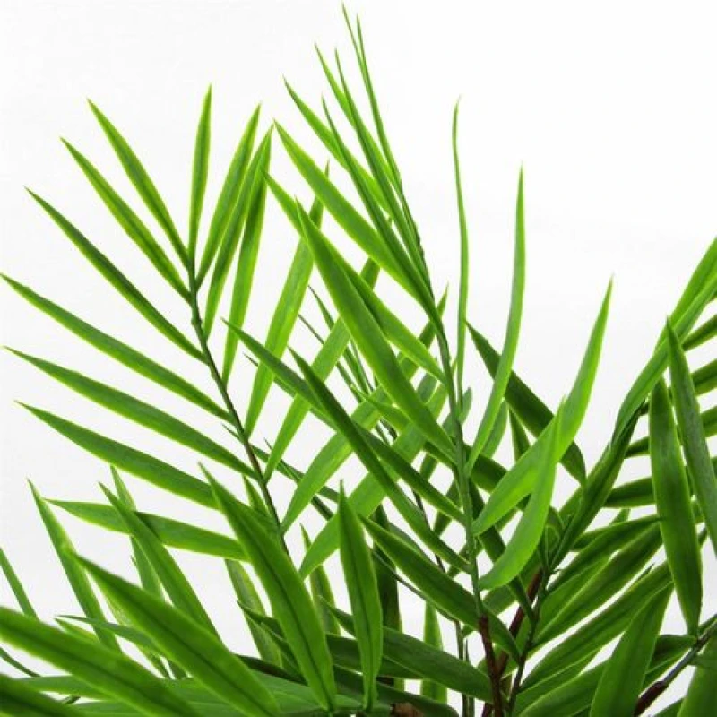 Image of Leaf 6 x 40cm Artificial Bamboo Palm Bush Plant