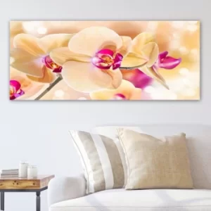 Image of YTY515190_50120 Multicolor Decorative Canvas Painting