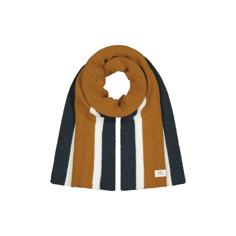 Image of Barts Scarf Barts Ardem Marron Male TU 3711-20
